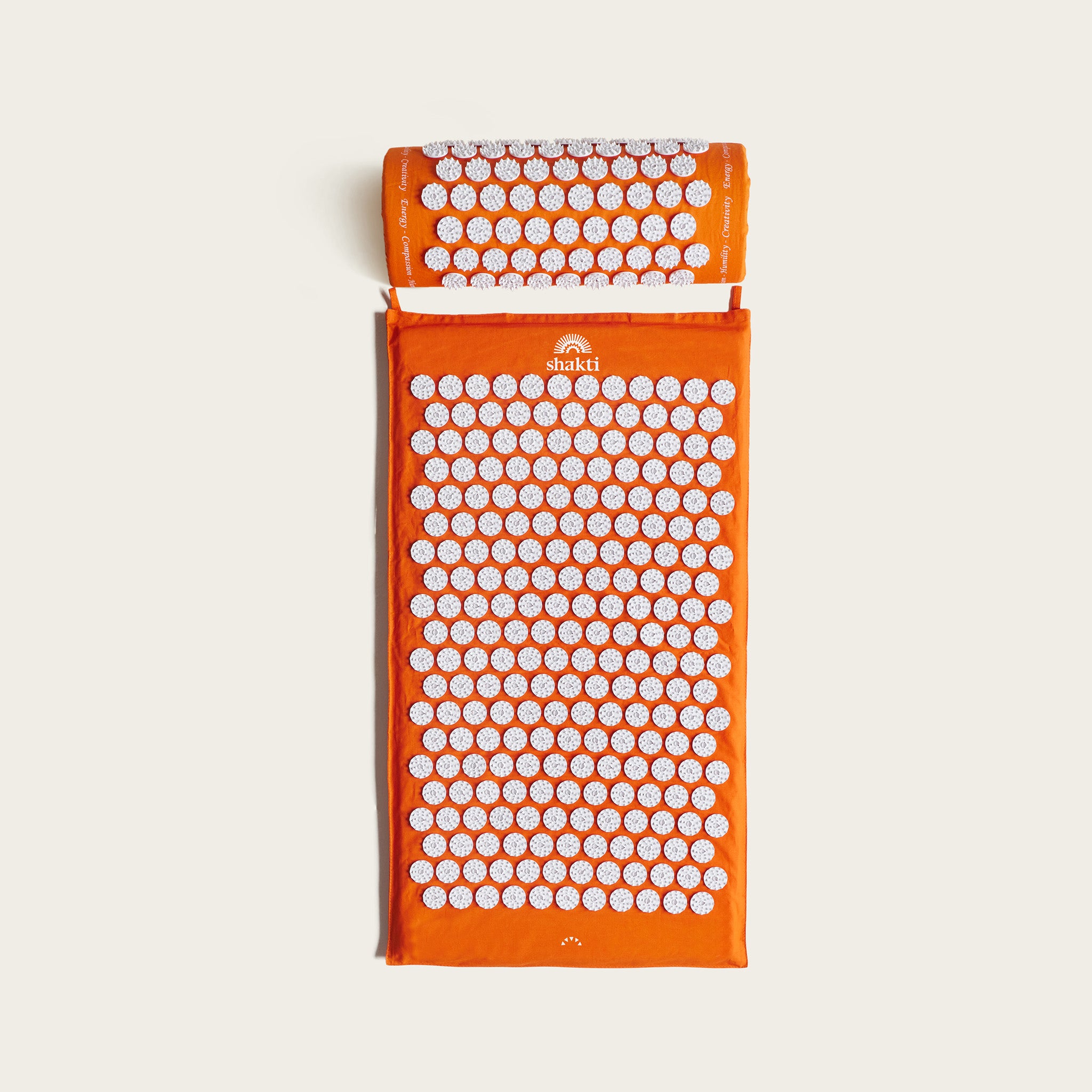 Bundel essentiële klassiekers