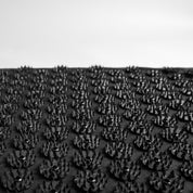 Bundel essentiële klassiekers